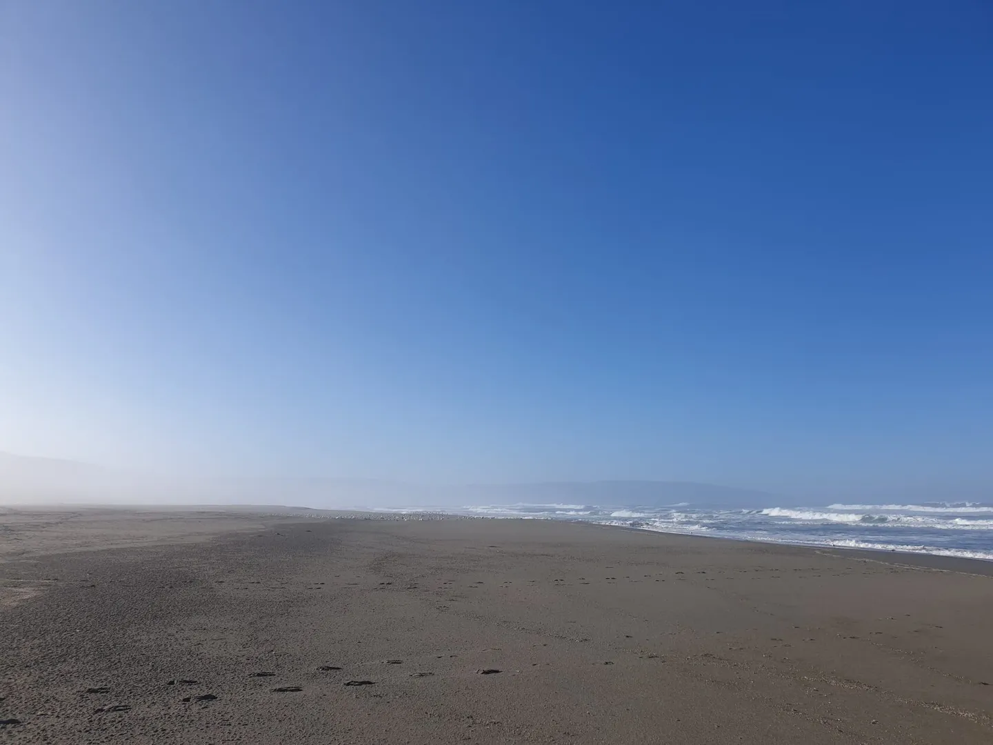 Bruma sobre la arena desierta de Playa Colún