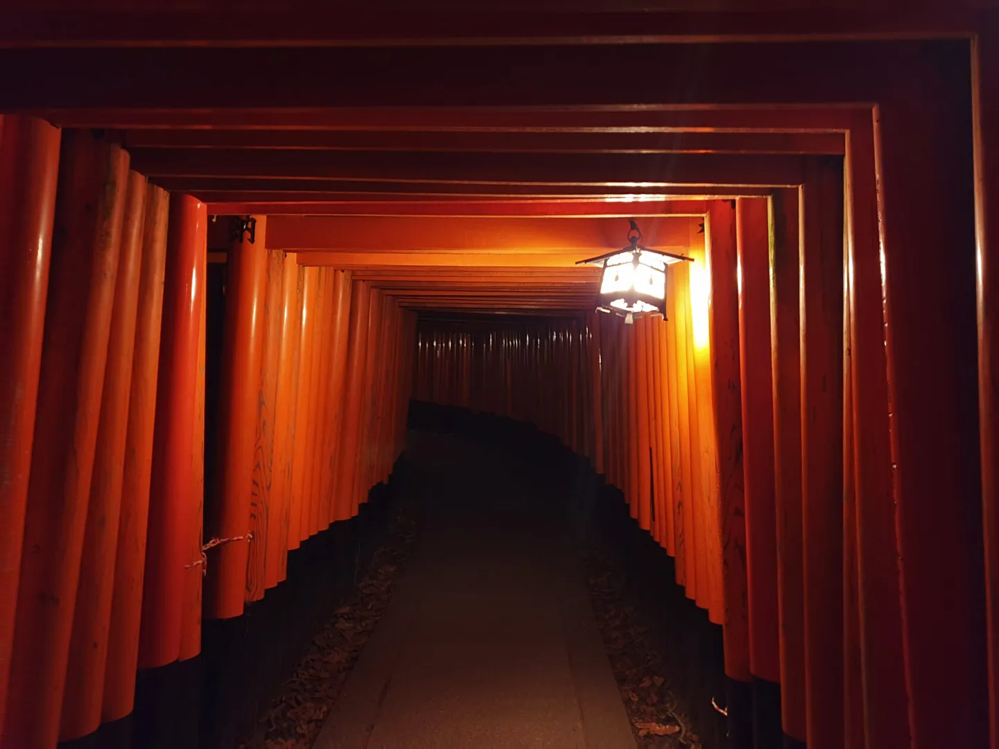 Empty tunnel of red torii gates at Fushimi Inari after dark