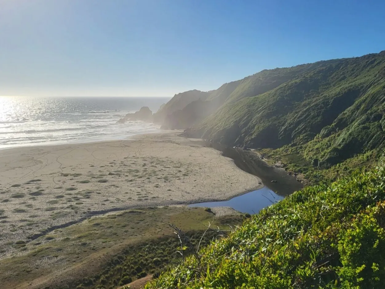 Arroyo que llega a Playa Colún bajo acantilados verdes